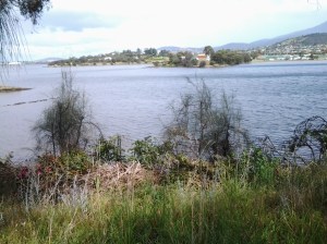 Towards MONAacross Lowestoft and Cameron Bays