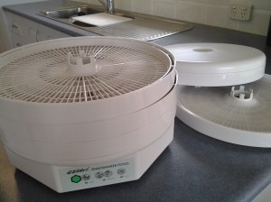 Ezidri ordinary layer