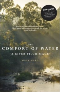 The Comfort of Water book cover