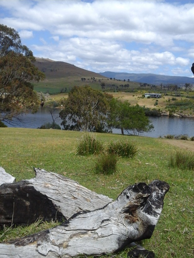 20151031_121223 Curringa Farm