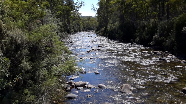 20160115_112146Florentine river.jpg