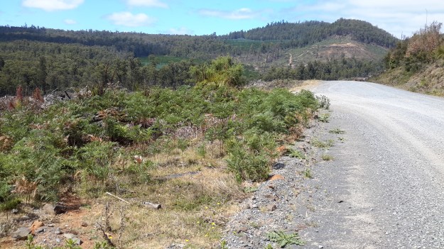20160115_113111 Left turn to houses and buildings near Derwent Florentine junction.jpg