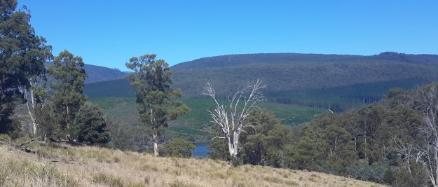 Looking to the other side1