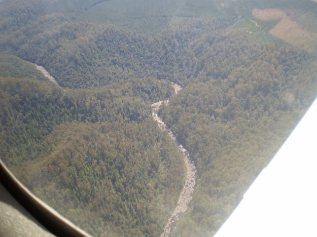 PA280100 on route to Tarraleah.JPG