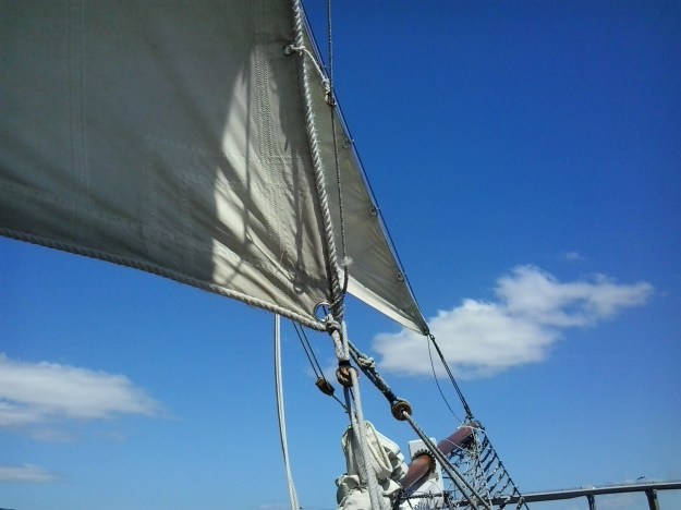 2016-11-18 14.06.14.jpg