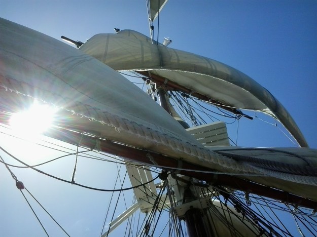 2016-11-18 14.14.43.jpg