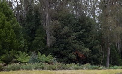 20160218_101825 cropped.JPG