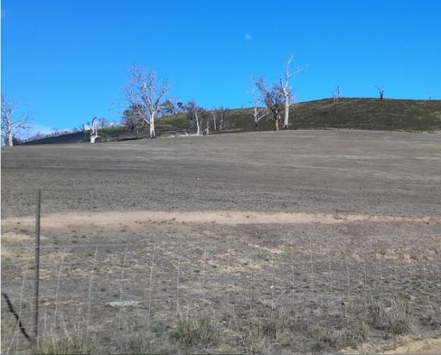 20160328_095809 cropped.JPG