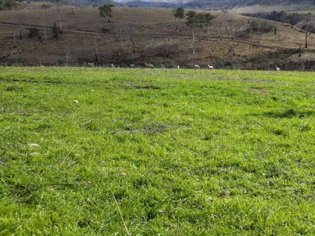 20160328_102516 cropped.JPG