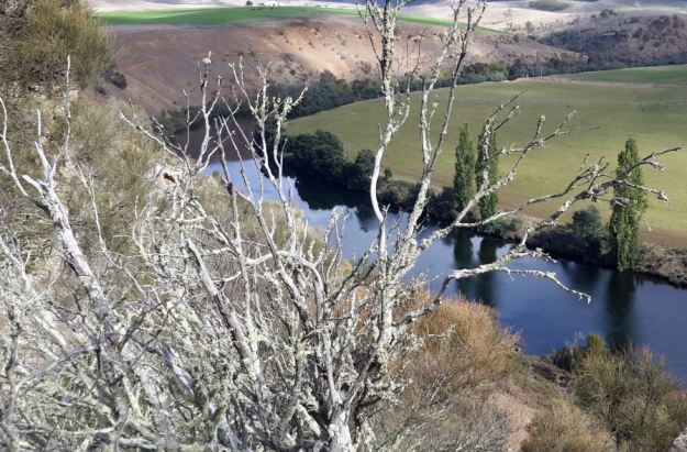 20160328_110825 cropped.JPG