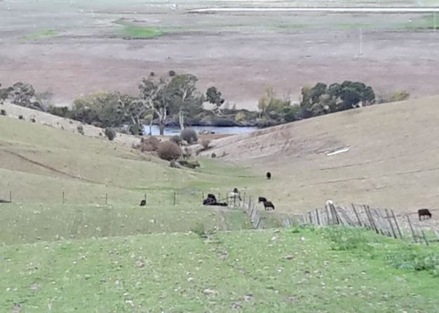 20160328_143138 cropped.JPG