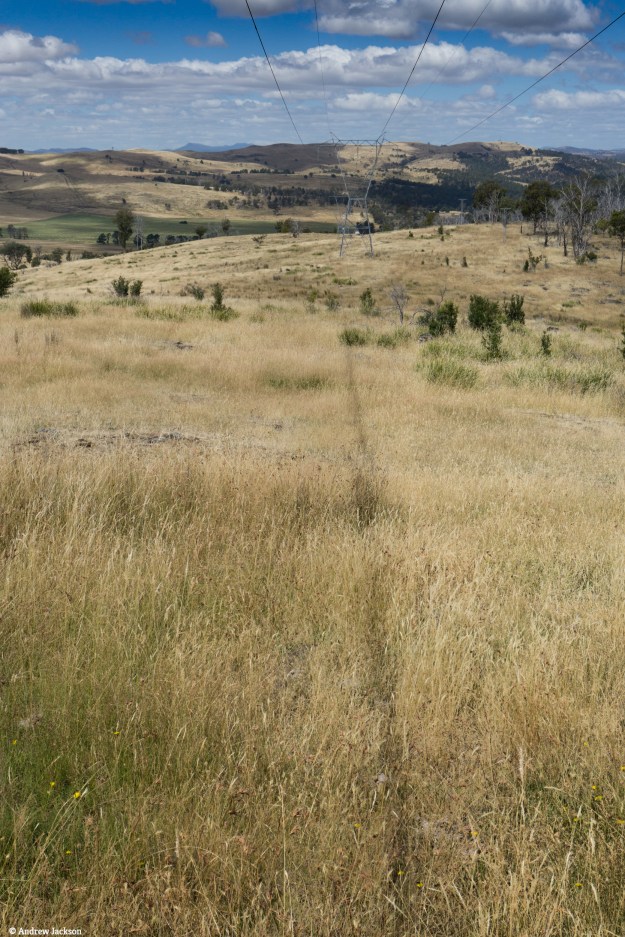 power-line-shadowv2-1