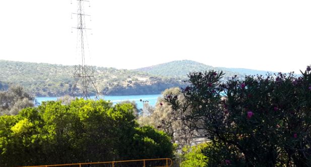 20170227_095403 crop.JPG